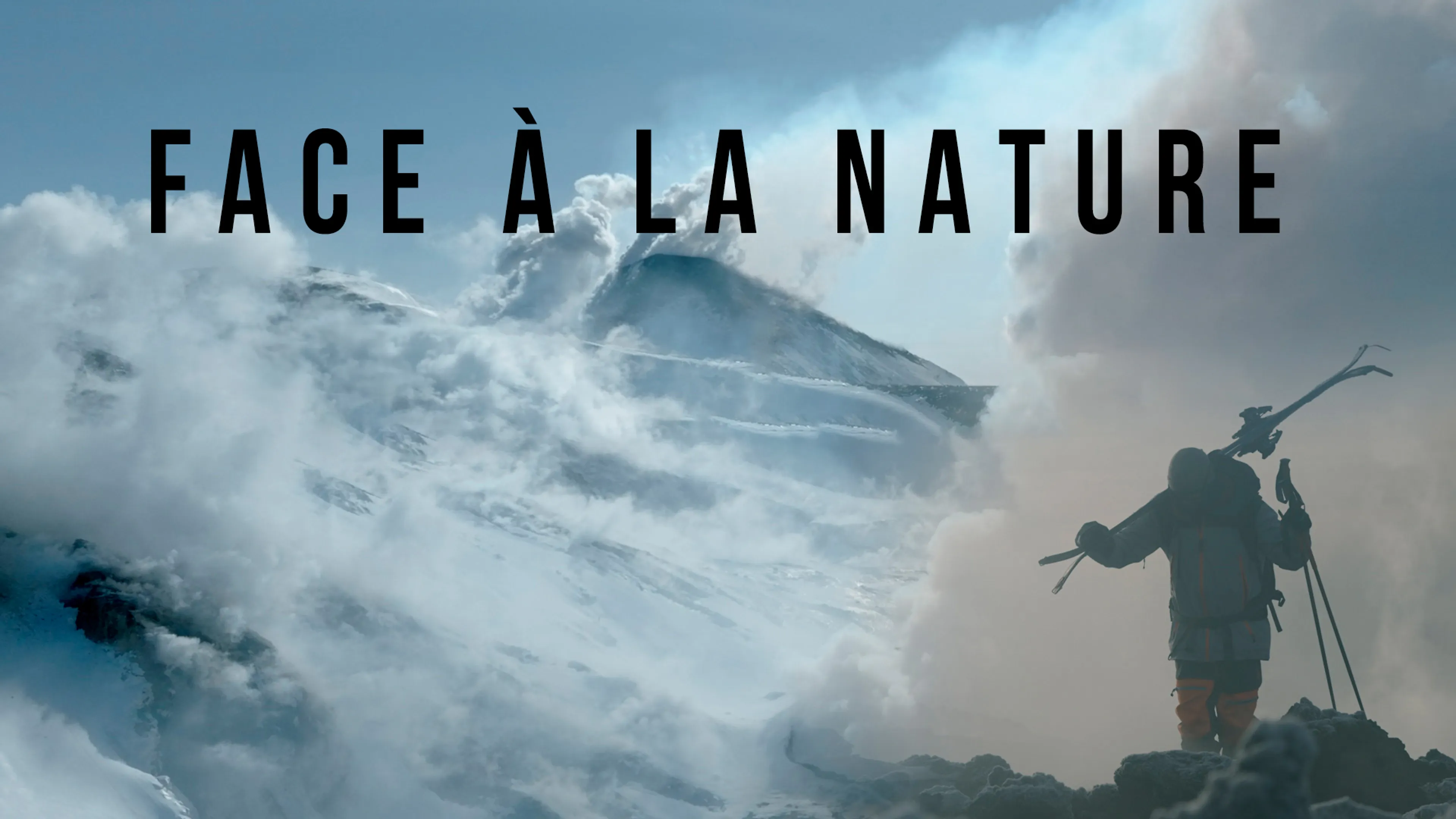 Face à la Nature poster